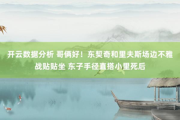 开云数据分析 哥俩好!东契奇和里夫斯场边不雅战贴贴坐 东子手径直搭小里死后