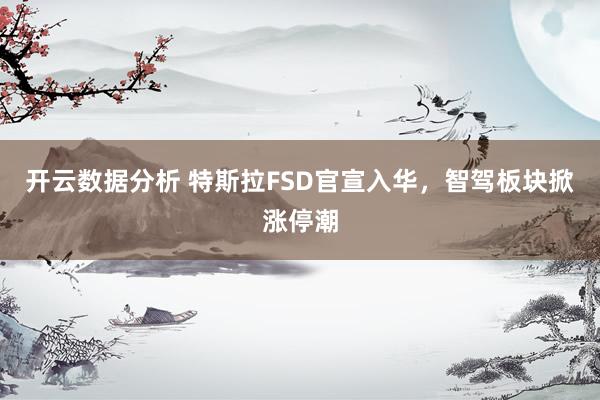 开云数据分析 特斯拉FSD官宣入华,智驾板块掀涨停潮