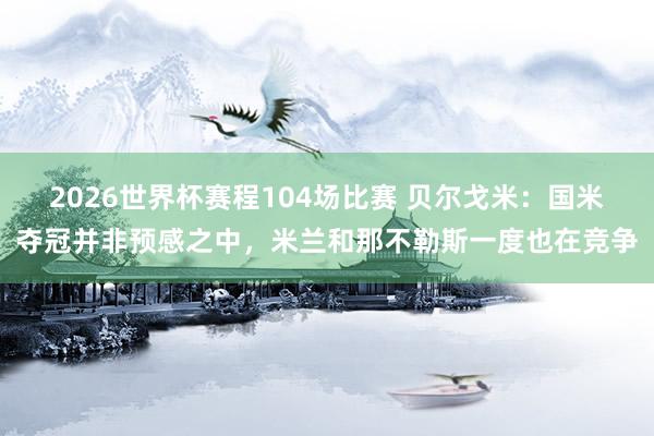 2026世界杯赛程104场比赛 贝尔戈米:国米夺冠并非预感之中,米兰和那不勒斯一度也在竞争