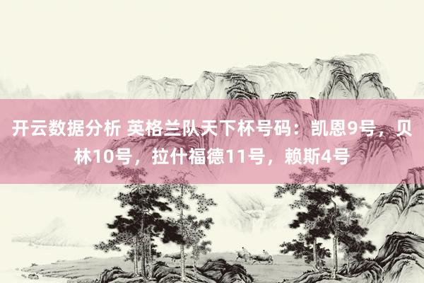 开云数据分析 英格兰队天下杯号码:凯恩9号,贝林10号,拉什福德11号,赖斯4号
