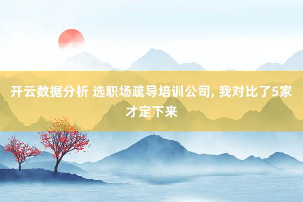 开云数据分析 选职场疏导培训公司, 我对比了5家才定下来